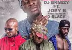 Slow Down-DJ Breezy FT. Joey B, King Promise & D-Black