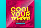 DJ-Mingle-feat-Akoo-Nana-Cool-Your-Temper