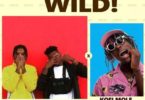 Ryderz x Kofi Mole – Wild! (Prod. By JnrBeatz)
