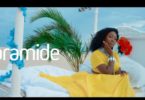 Official Video-Aramide Ft. Timaya – Fall On Them