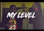 Official Video-Shatta Wale – My Level