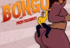 Download MP3: Tulenkey – Bongo (Prod by Tulenkey)