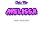 Download Instrumental - Shatta Wale – Melissa