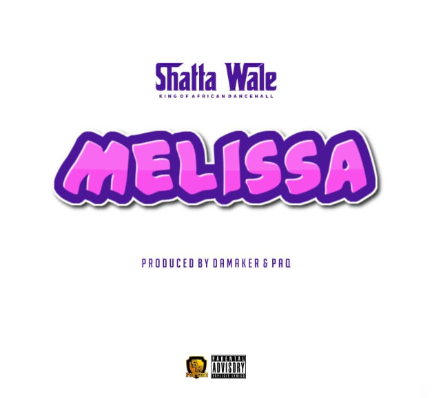 Download Instrumental - Shatta Wale – Melissa