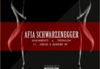 Ssnowbeatz – Afia Schwarzenegger (Remix) Ft Teephlow & Quamina MP