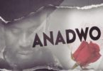 Bisa Kdei – Anadwo mp3 download