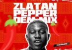 DJ Kaywise – Pepper Dem Mix mp3