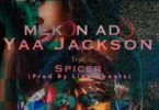 Yaa Jackson – Mekon Ado Ft Spicer mp3 download