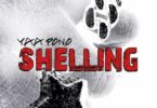 Yaa Pono – Shelling mp3 download