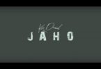 Kizz Daniel – Jaho (Visualizer) video