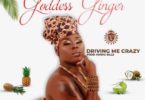 Goddess Ginger – Drive Me Crazy mp3 download
