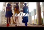Shatta Wale Akwele Take Video Download