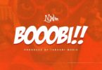 Lil Win – Boobi mp3 download