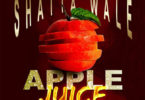 Shatta Wale – Apple Juice mp3 download