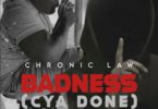 Chronic Law - Badness Cya Done mp3 download