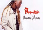 Pappy Kojo – Nana Ama mp3 download