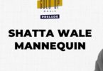 Shatta Wale & Gold Up - Mannequin mp3 download