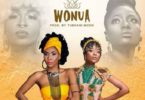 AK Songstress – Wonua Ft Efya mp3 download
