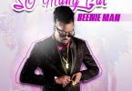 Beenie Man - So Many Gal mp3 download