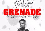 Kojo Vypa – Grenade mp3 download