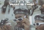 Kwamz – What Is This mp3 download