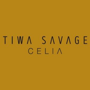Tiwa Savage - Park Well Ft Davido [Celia Album]