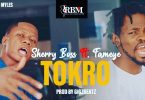 Sherry Boss - Tokro Ft Fameye (Prod. by GigzBeatz)