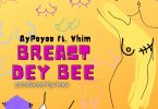 Ay Poyoo - Breast Dey Bee Ft Vhim (Prod. by Lexx)