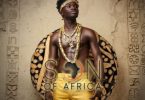 Kuami Eugene - Will You [Son Of Africa Album]