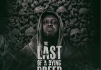 hammer of the last two – the last of a dying breed album