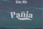 Shatta Wale - Panai