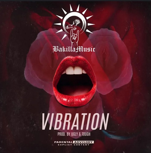 bakilla – vibration