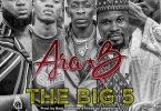 Ara-B - The Big 5