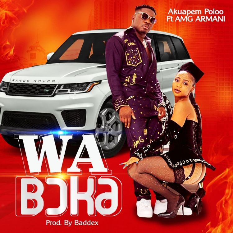 Download MP3: Wa Boka by Akuapem Poloo Ft Amg Armani 