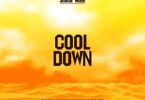 Shatta Wale - Cool Down