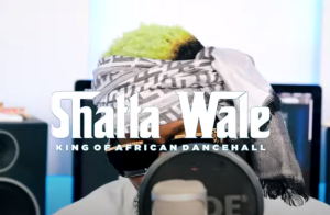 Shatta Wale - Love Is A Medicine Video