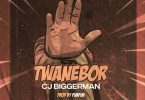 CJ Biggerman - Twanebor