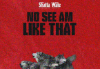 Shatta Wale - No See Am Like That