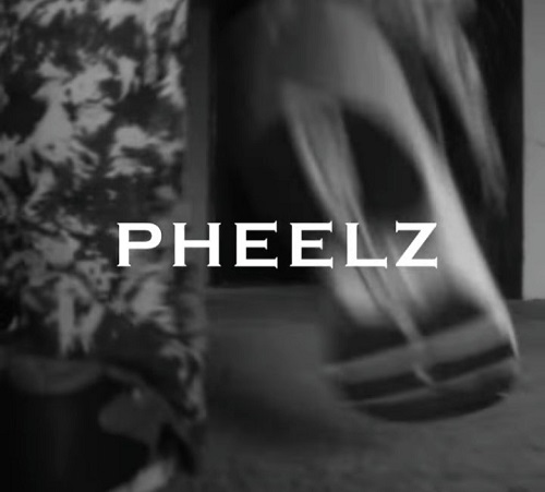 pheelz – folake for the night