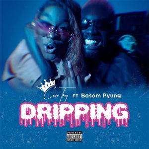 Cocotreyy - Dripping Ft Bosom P-Yung