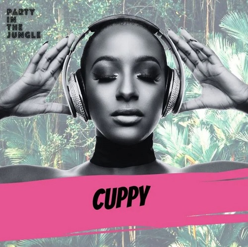 dj cuppy – party in the jungle mixtape