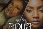 liya adua (remix) ft simi