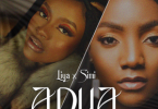 Liya & Simi - Adua Remix