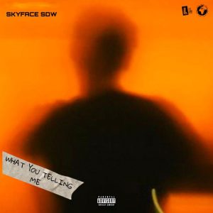 Skyface SDW - What You Telling Me