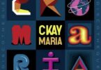 ckay – maria ft silly walks discotheque