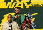 Tripcy – Freeway Remix Ft Davido, Lady Du & DJ Pee Raven