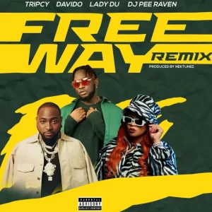 Tripcy – Freeway Remix Ft Davido, Lady Du & DJ Pee Raven