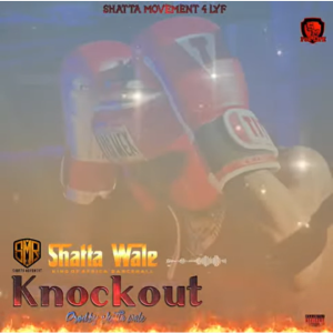 Shatta Wale - Knockout