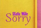 shatta wale sorry
