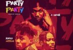 a swxg, dayonthetrack and kwesi arthur party